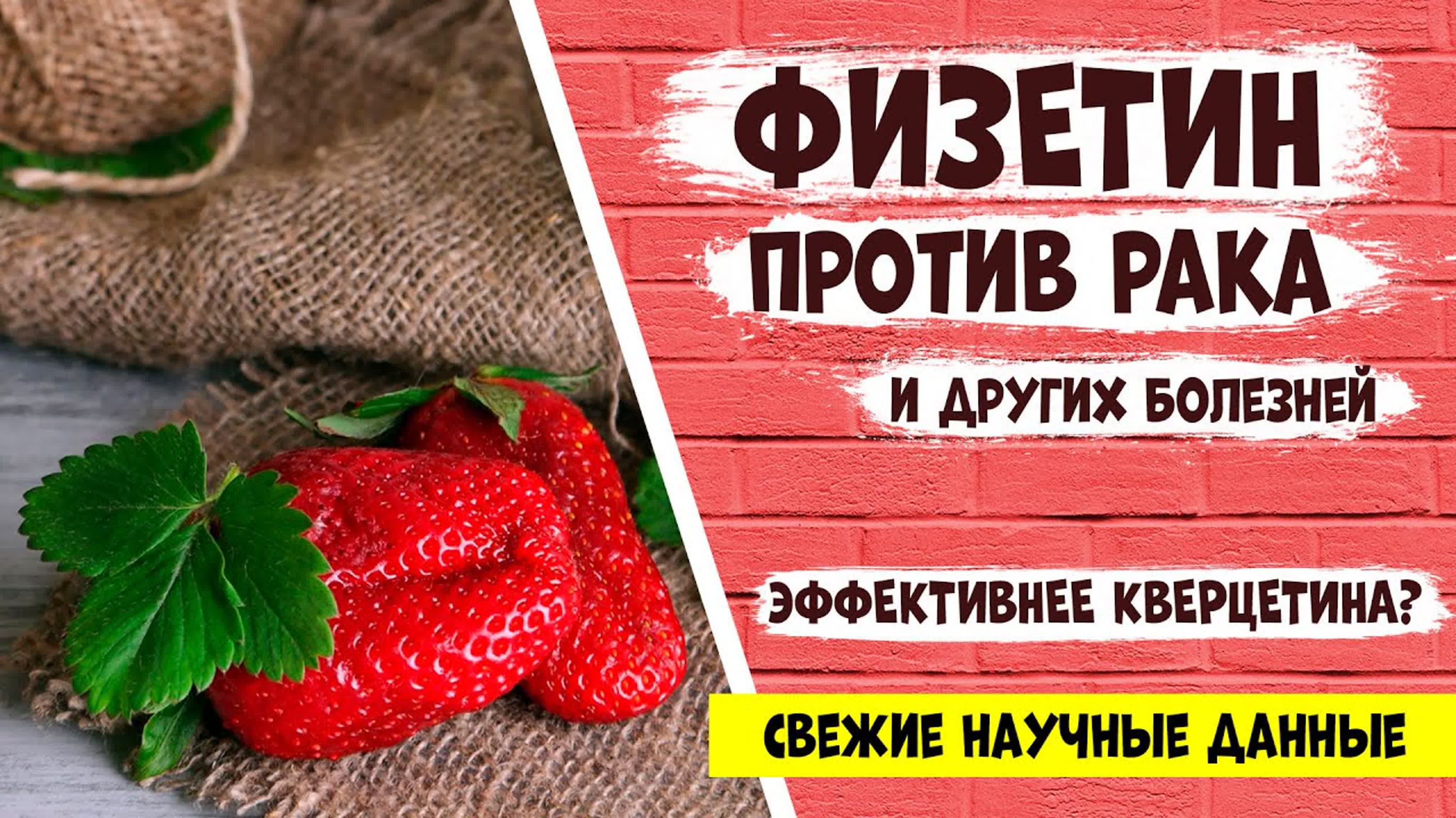 НЕРВНЫЕ БОЛЕЗНИ: информация, питание, лечение