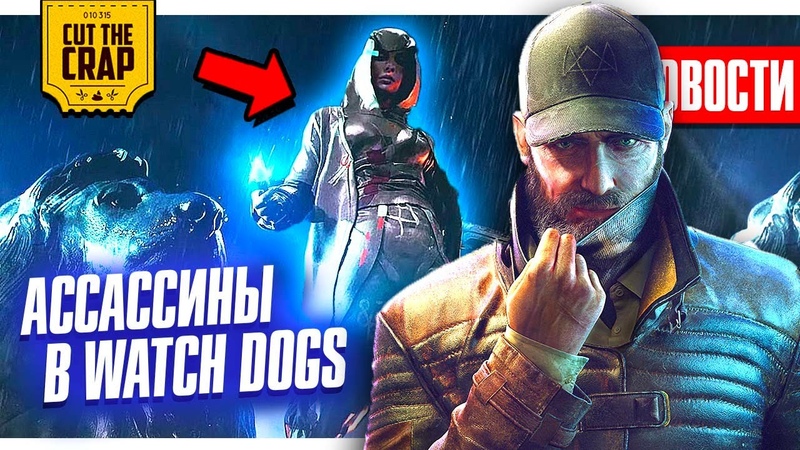 Новостные Видео