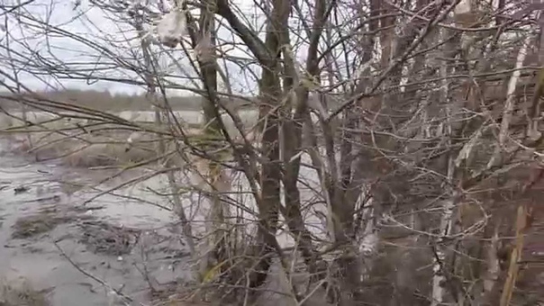 Половодье на Суре весна 2012-2013