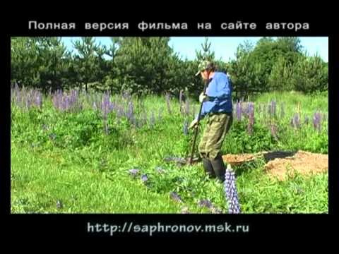 Огород в родовом поместье