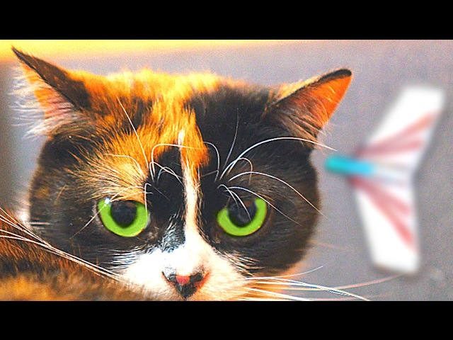 поделки из бумаги