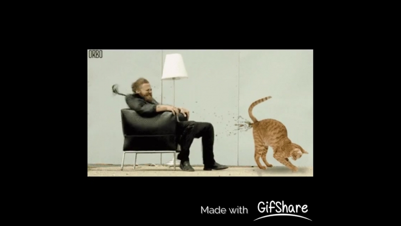 Образование не нужно