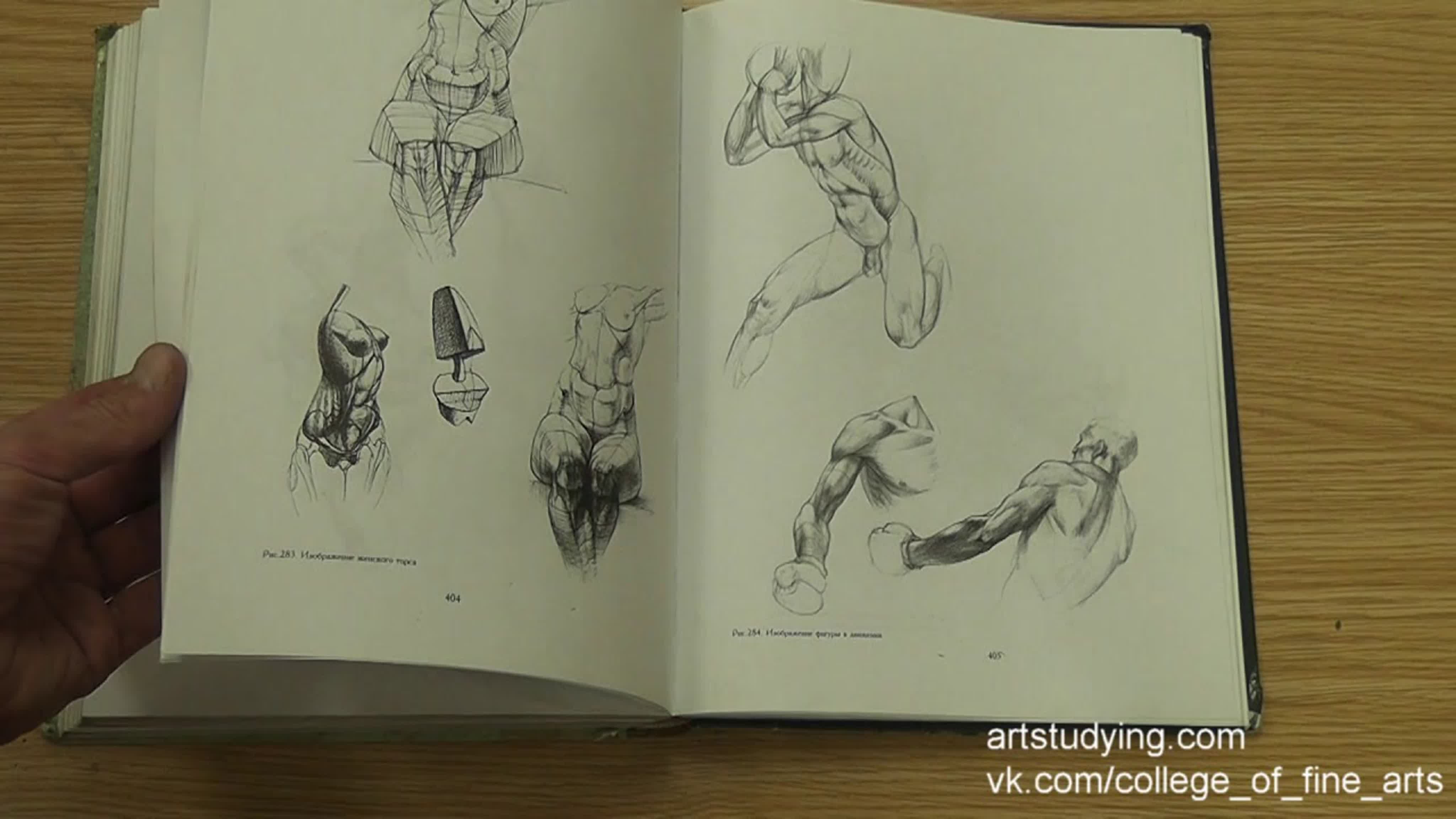 Обзор учебников рисунка