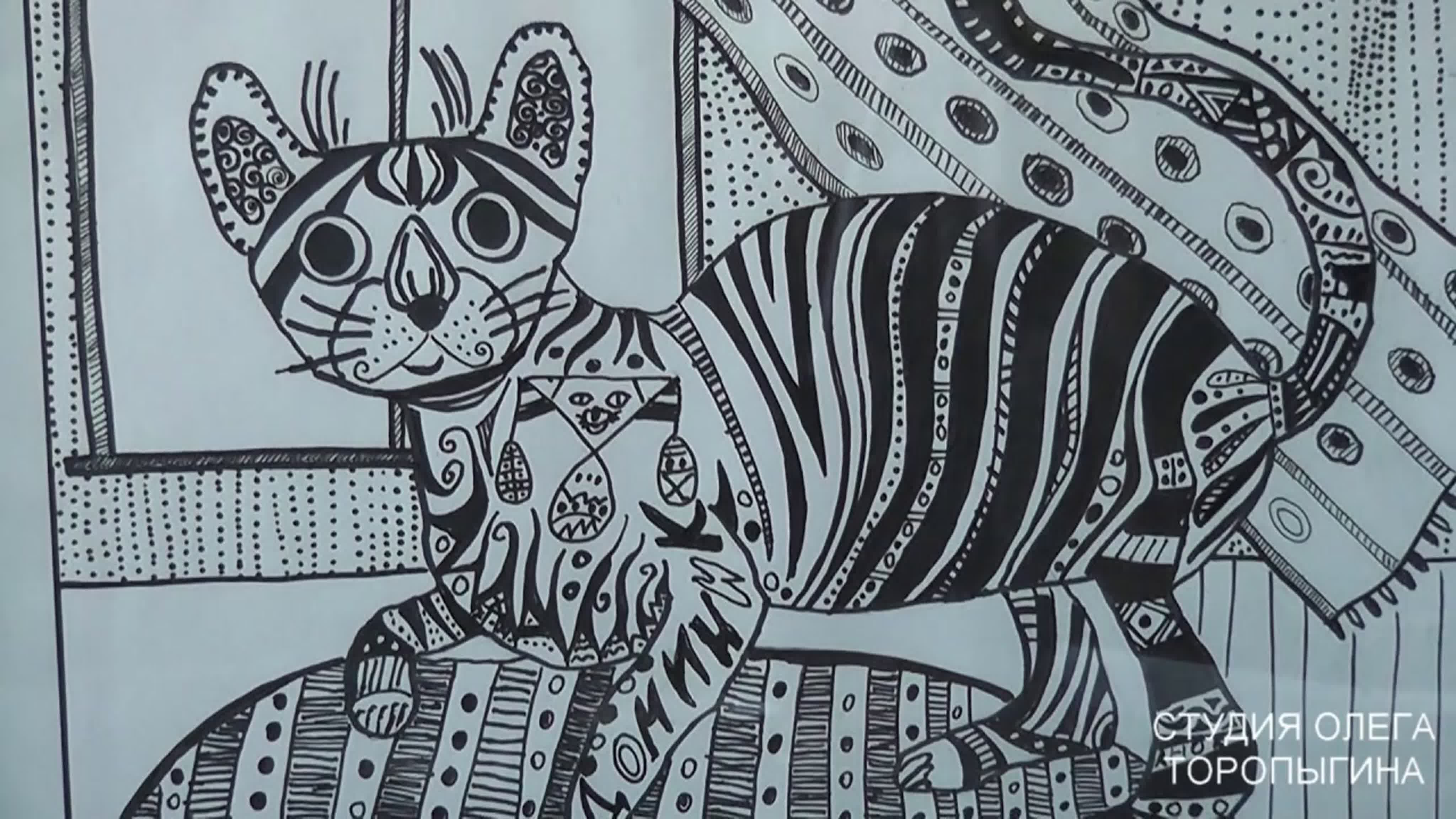 обзор студий