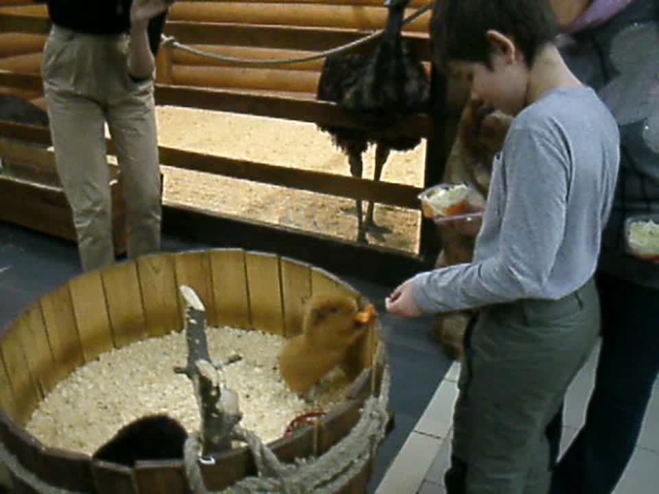 Контактный зоопарк. ТРК "Континент". 25.03.2019.