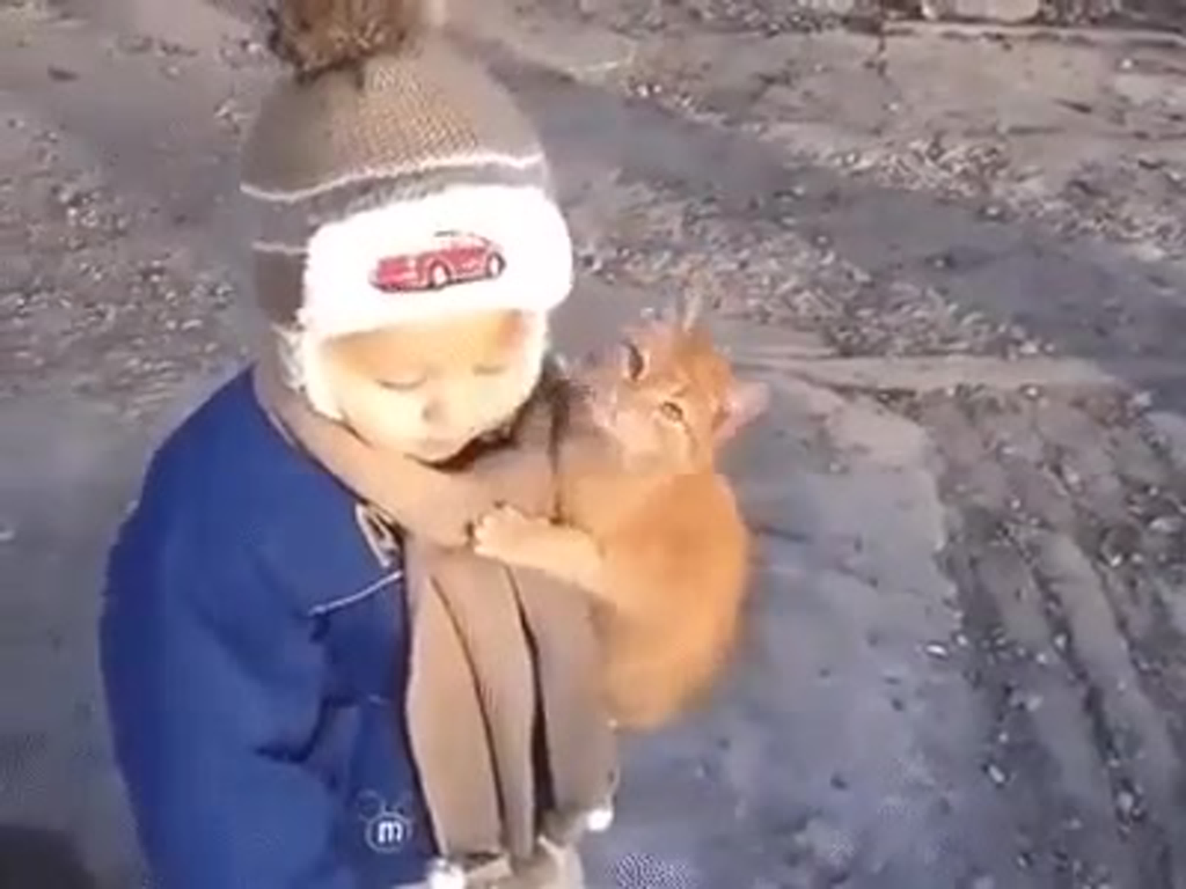 Короткие видео