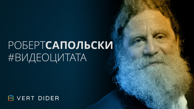 Видеоцитаты