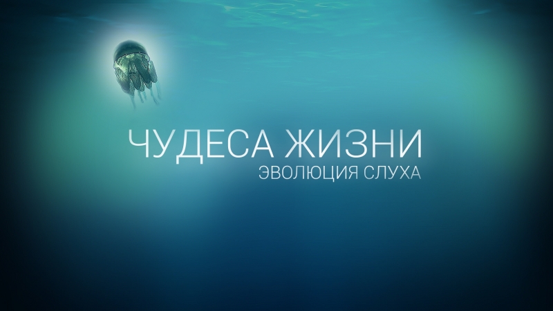 Теория эволюции