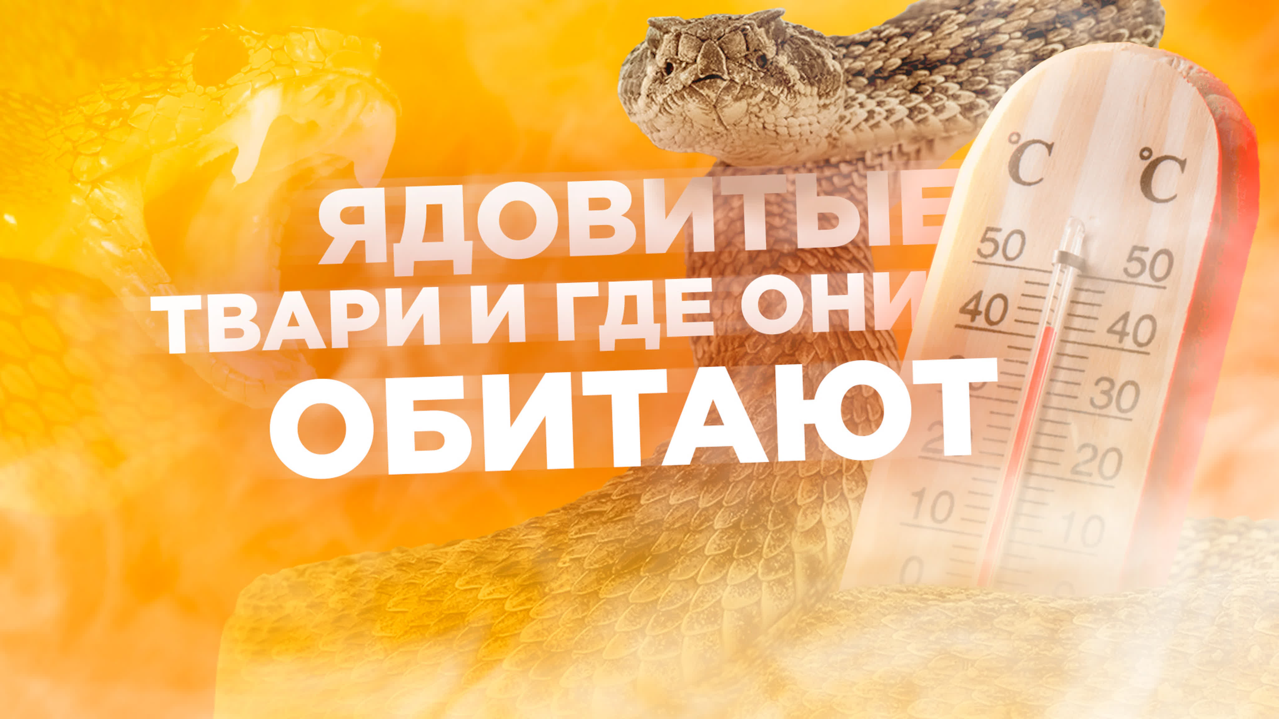 Биология