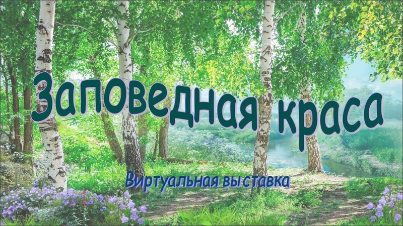 Чудеса планеты Земля