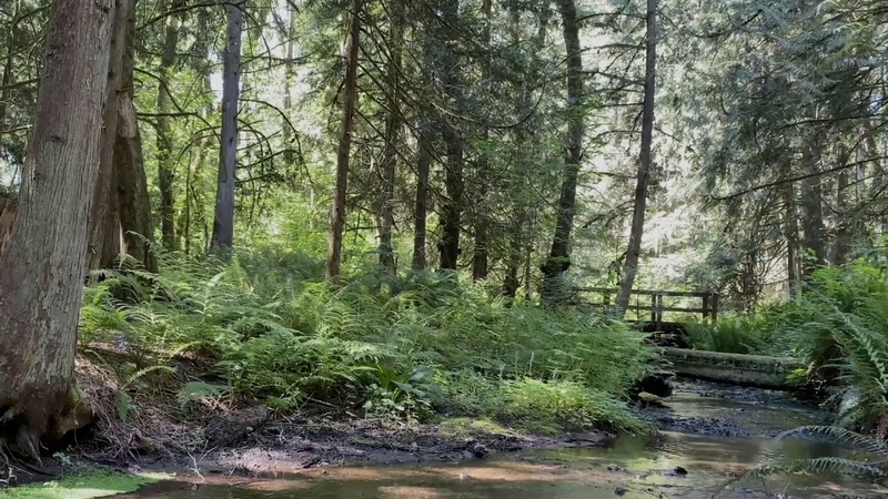 5-дневный челлендж от Fitness Blender