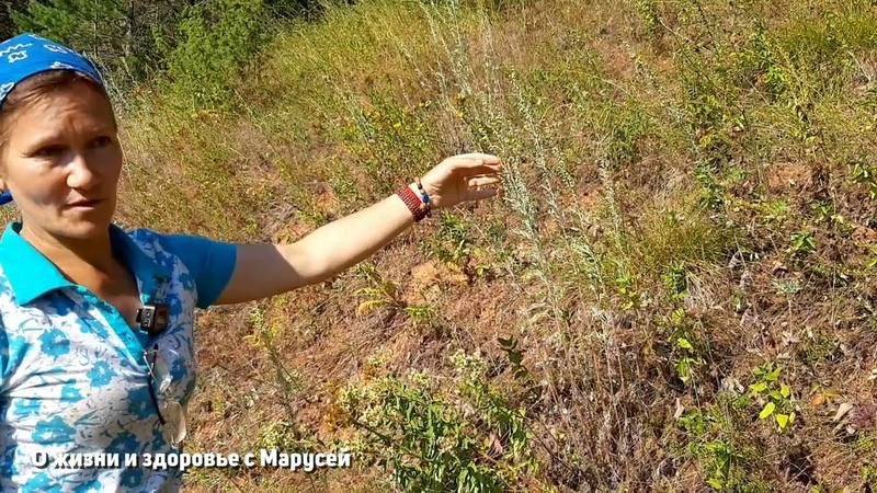 О медицине...