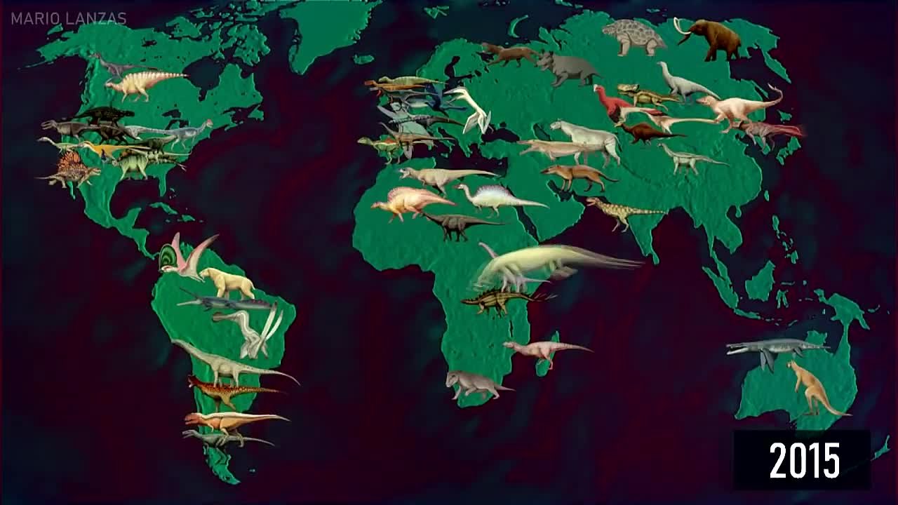 документальные - культура