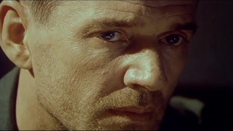 Социология