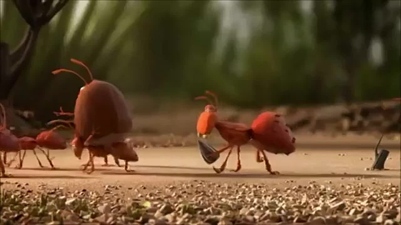 Анимационные фильмы формата Short Metr