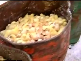 ►Не для Слабонервных