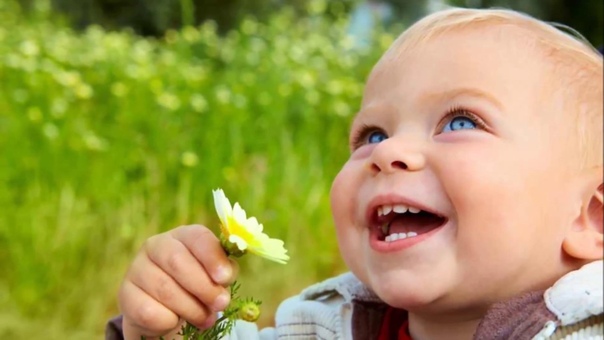 Музыкальный альбом