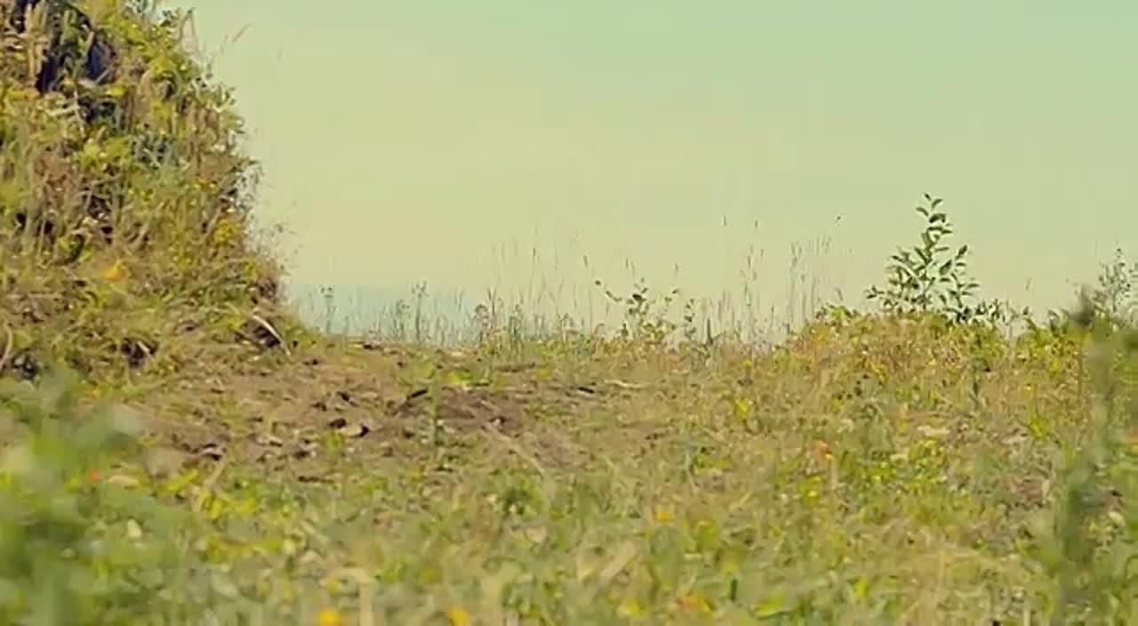 Дьяволы войны (2013)