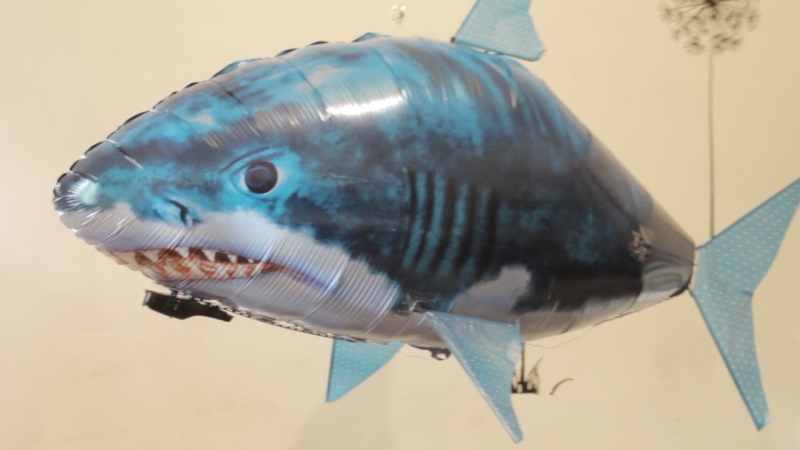 Ali Bali  Kids видео для детей