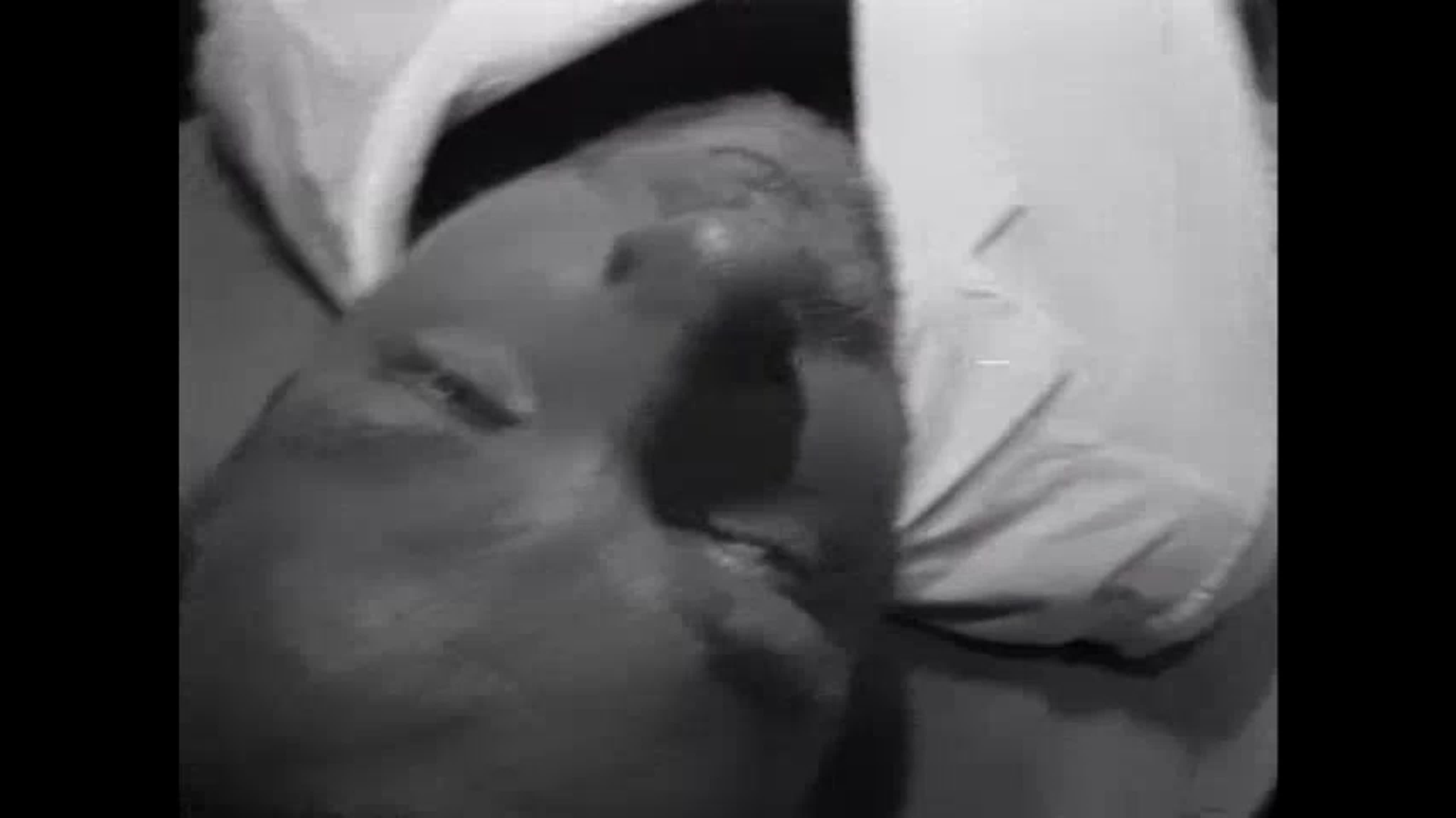 Зелёный слоник необходимый