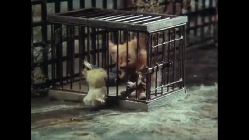 Маленький рыжик