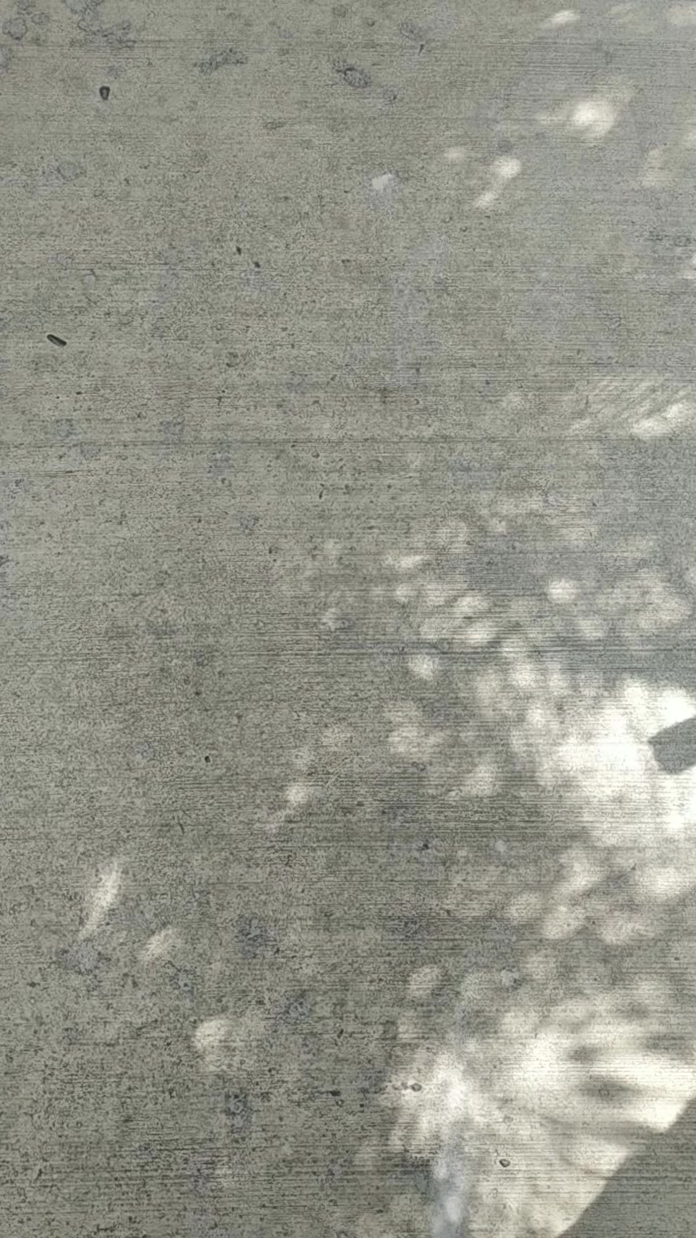 Доминиканская республика