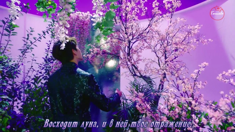 [Korea] VIXX