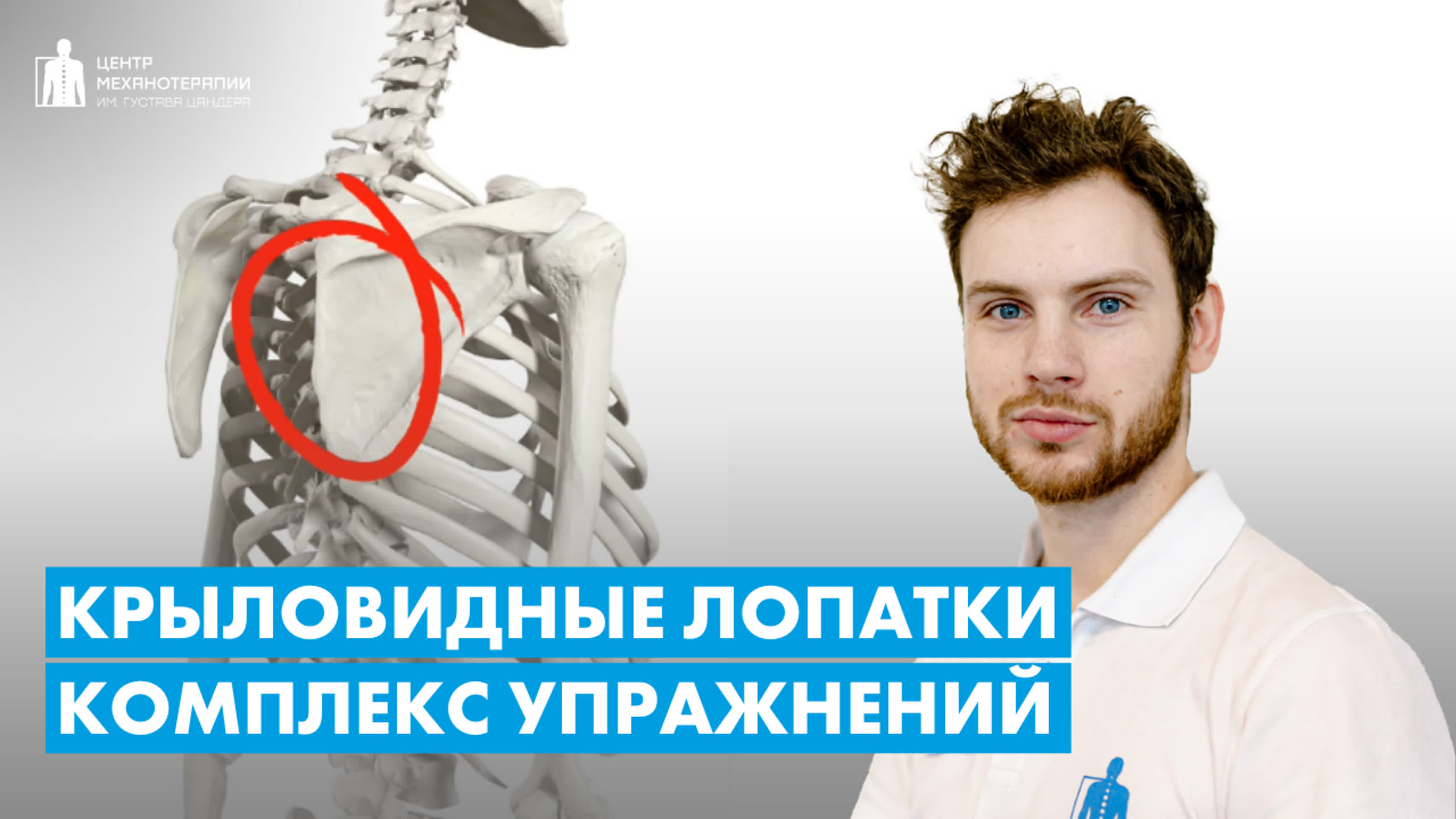 Онлайн-тренировки с реабилитологом