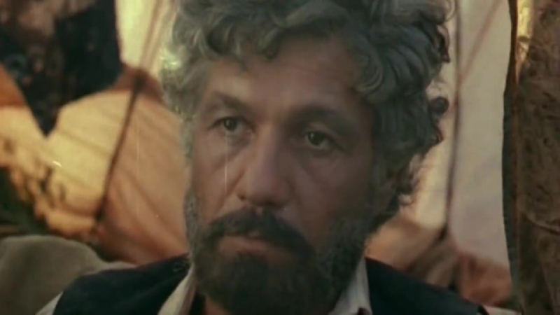 Фильмы с Волонтир Михай Ермолаевич