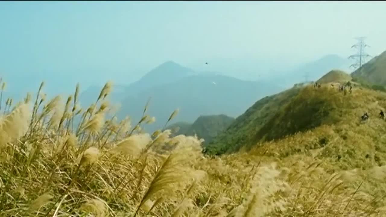 • Фильмы с Луисом Фаном