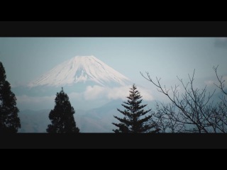 • Фильмы с Сэмом Ли