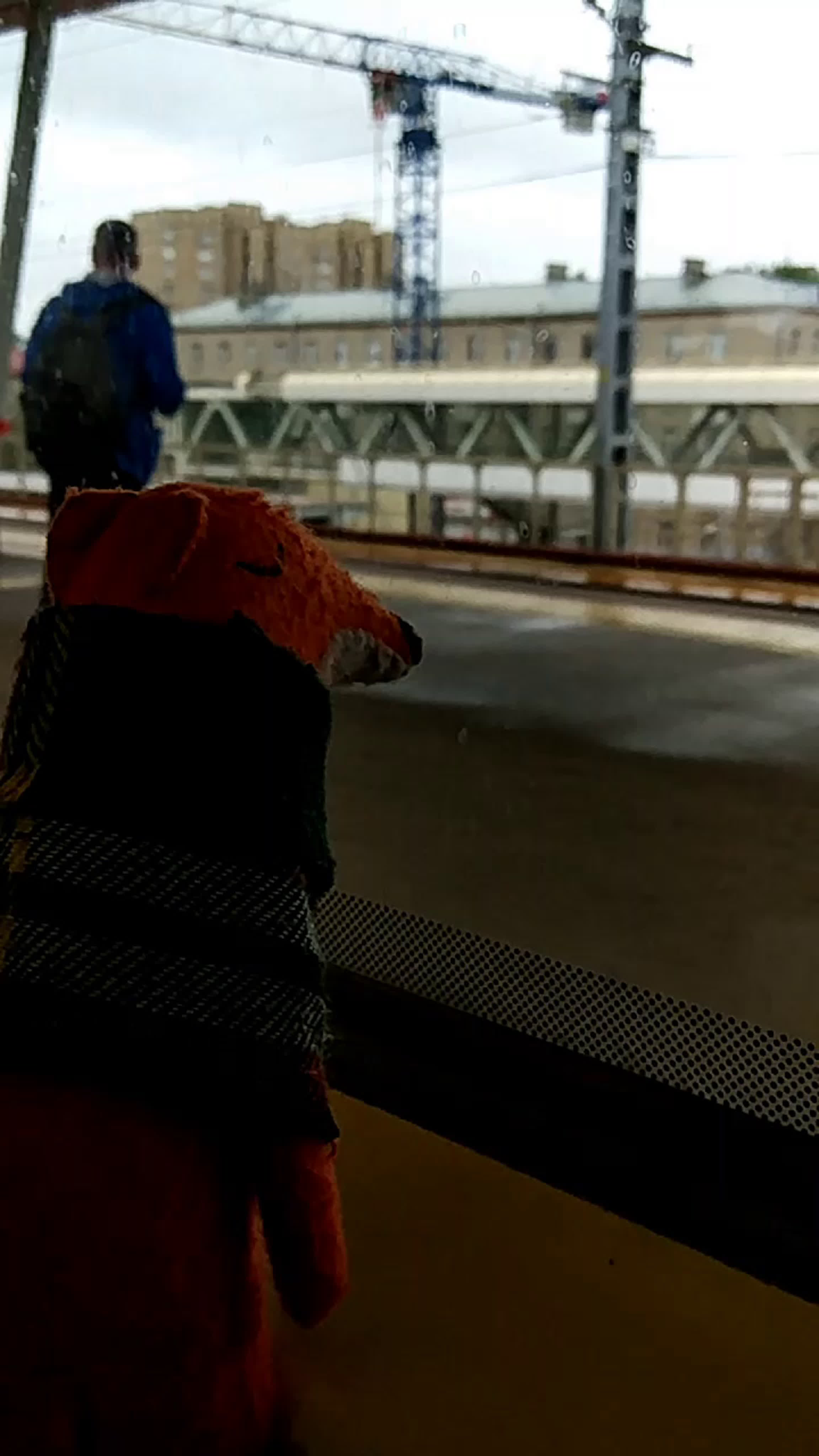 I Международный Открытый кубок Испании 2019 в Торрелавеге