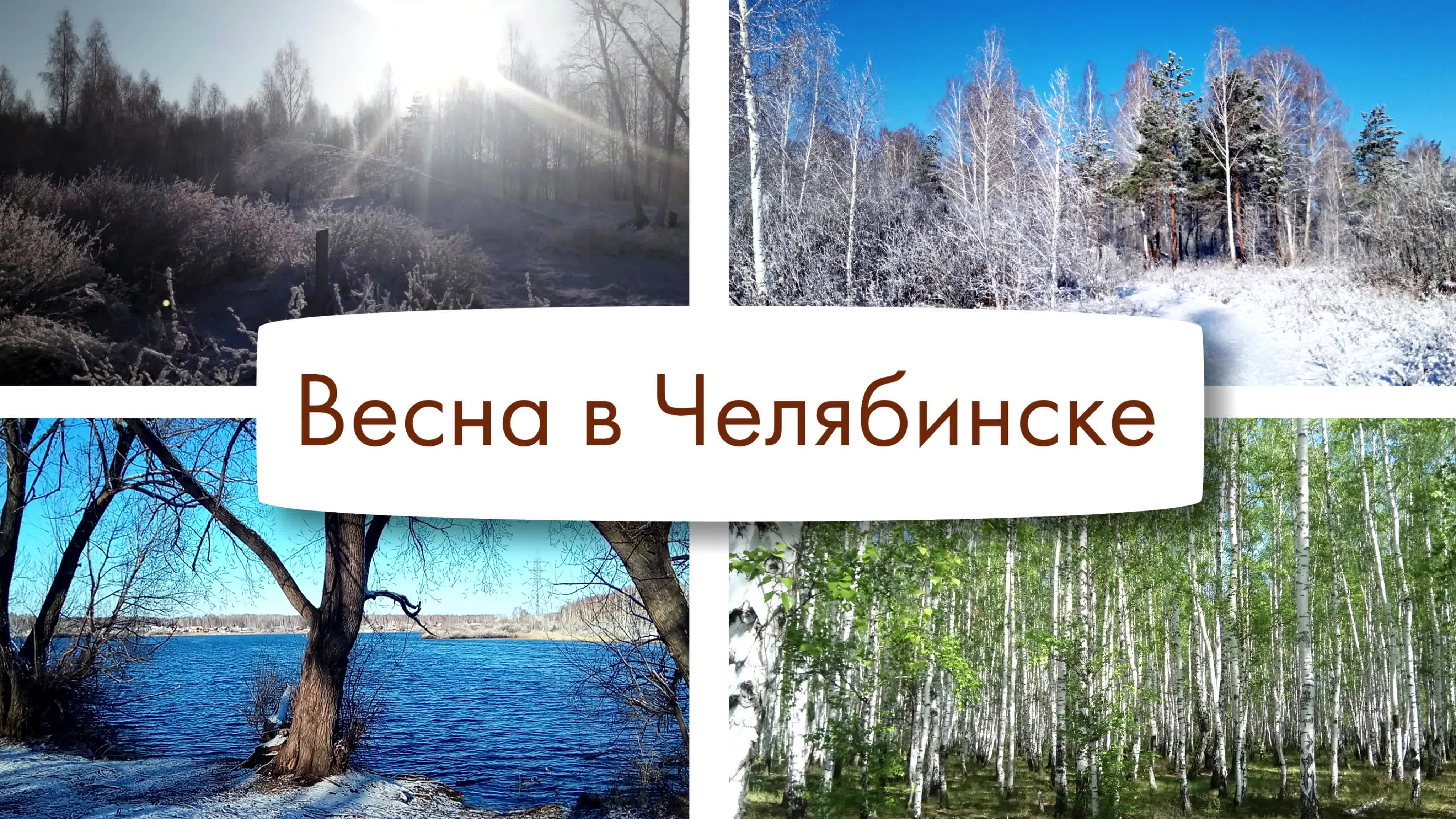 Фильмы и мультфильмы