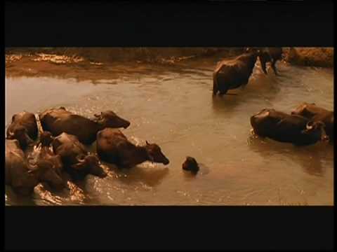 Духовное (разное)