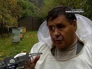 Мёд