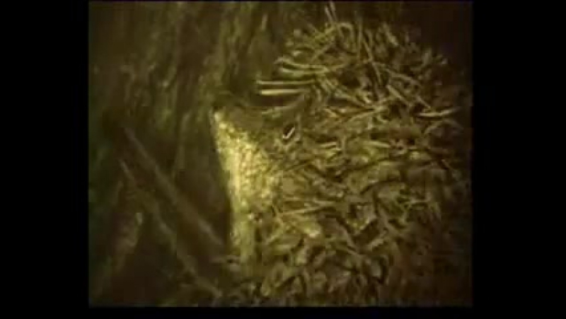 ღ Е ღ (мультики)