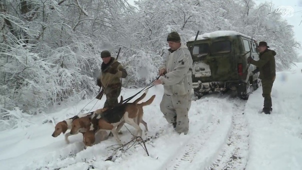 Охота на Пушного зверя