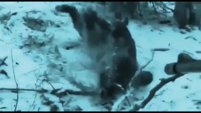 Охота на Копытных