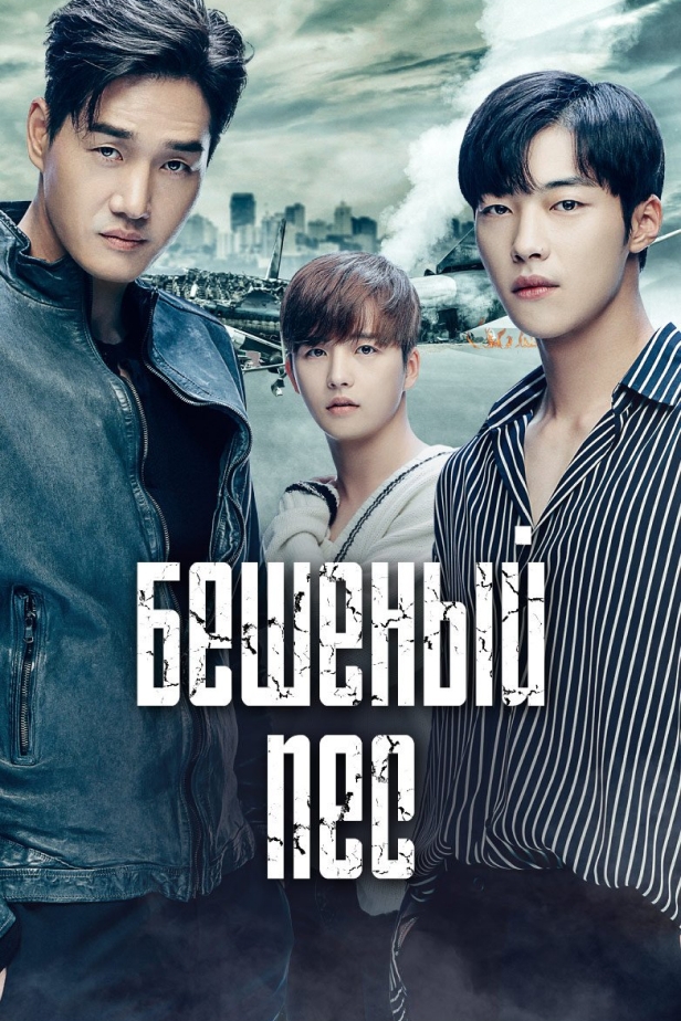 Бешеный пёс