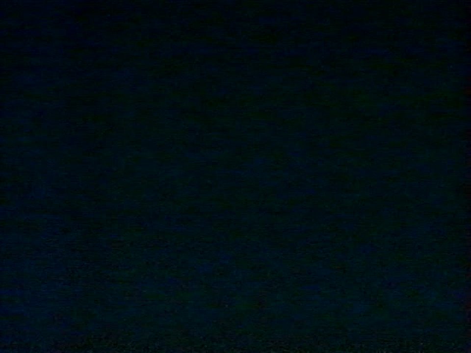 Remington Steele Saison 5