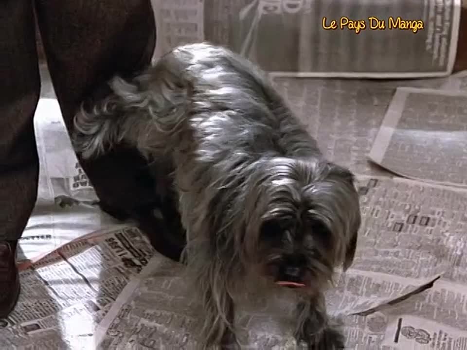 Remington Steele Saison 2