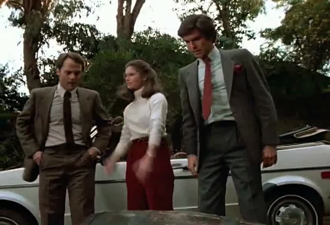 Remington Steele Saison 1