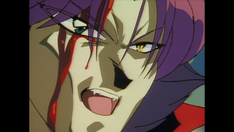 Рубаки / Slayers 1995