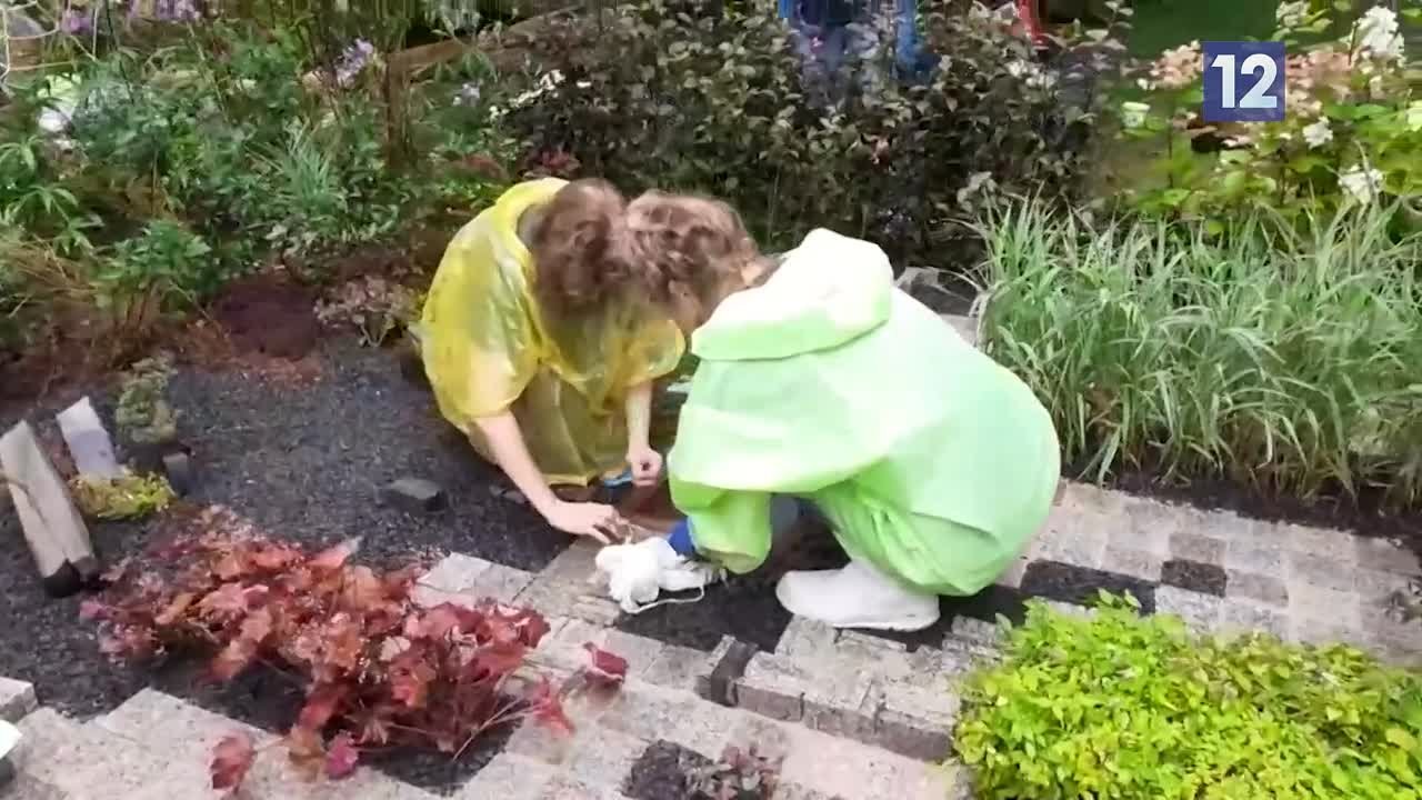 Дачные советы