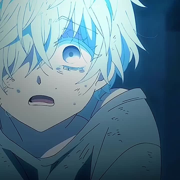 Vanitas no Carte / The Case Study of Vanitas