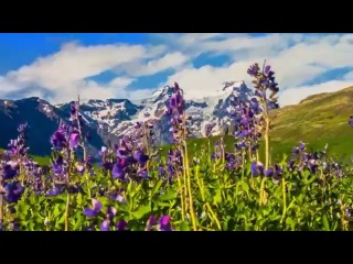 МИСТИЧЕСКАЯ КРАСОТА ПРИРОДЫ