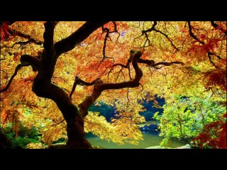 МУЗЫКА OLIVER SHANTI - ОЛИВЕР ШАНТИ