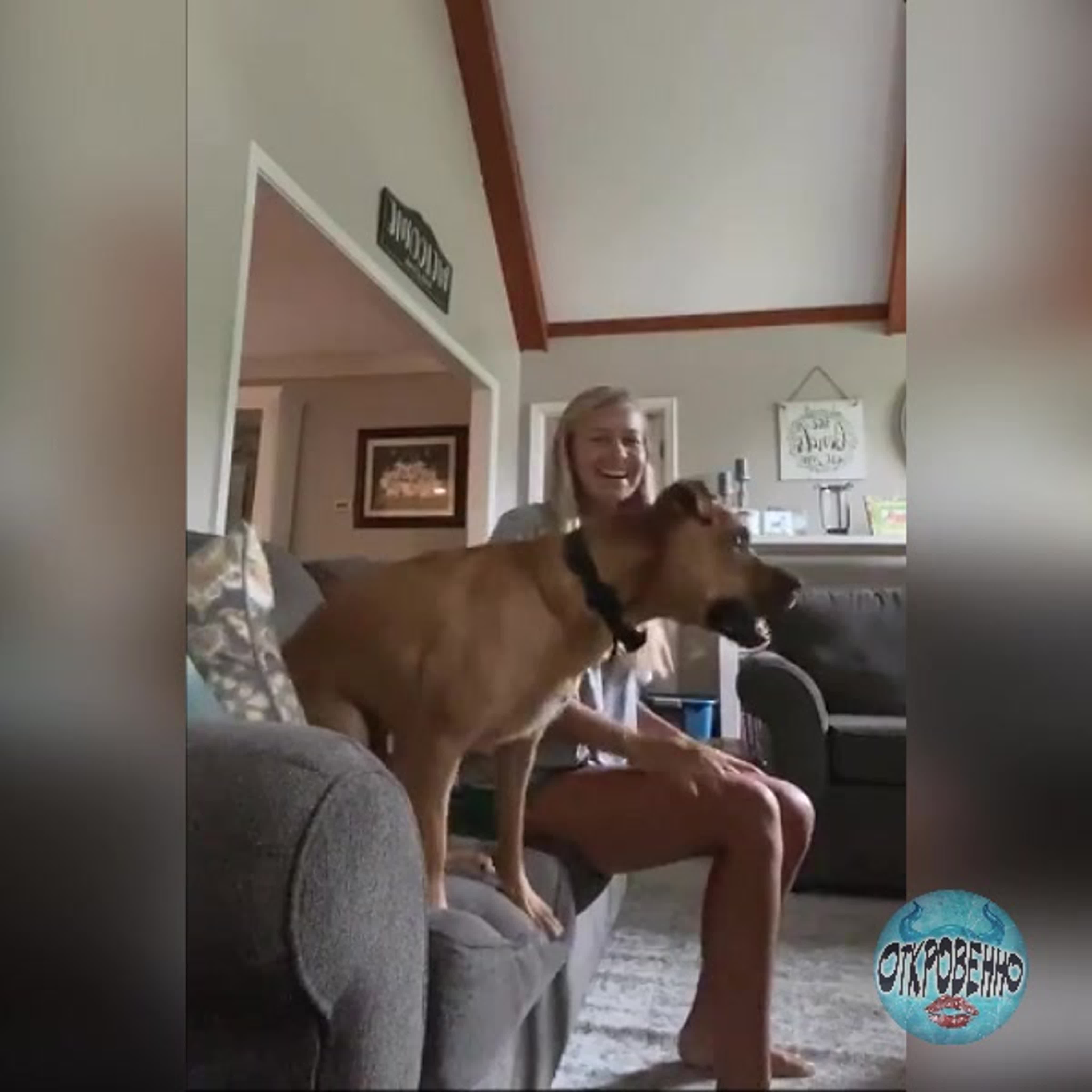 мультфильмы. животные.