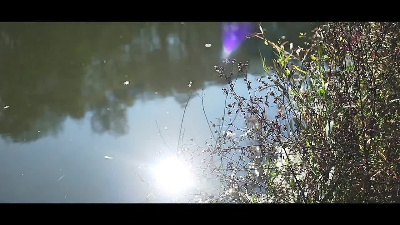 семья, родня, друзья