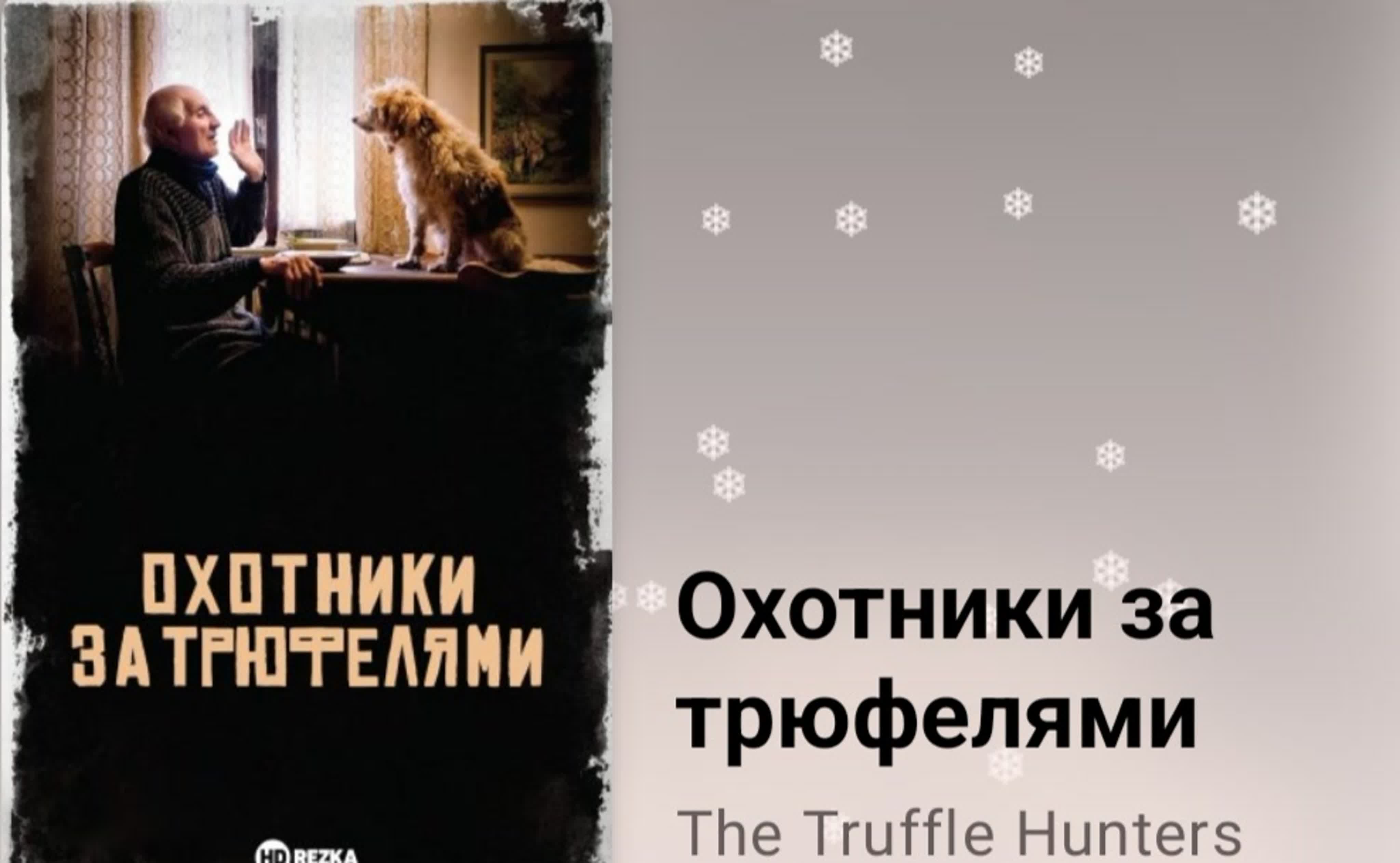 🎣Хобби(Рыбалка,охота и т.д)